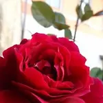 Prenditempo B&B