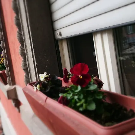 Panzió Prenditempo 3*