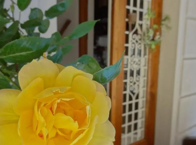 Bed & Breakfast Prenditempo