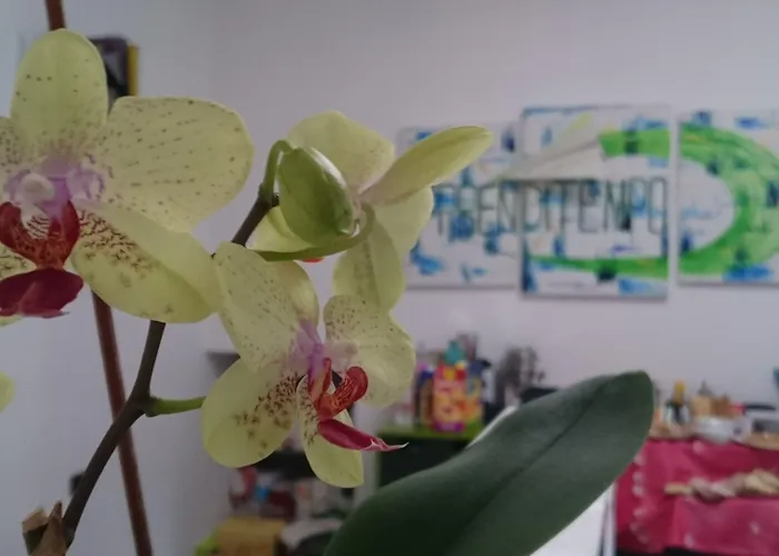 普仁迪天普酒店 3*