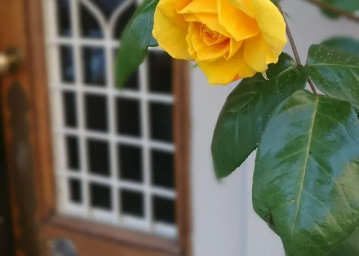 住宿加早餐酒店 普仁迪天普酒店