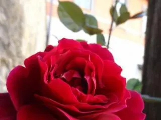 普仁迪天普酒店 住宿加早餐酒店