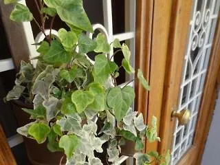 Bed & Breakfast Prenditempo